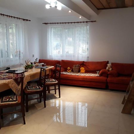 Casa Geanina Acomodação com café da manhã Colibiţa Exterior foto