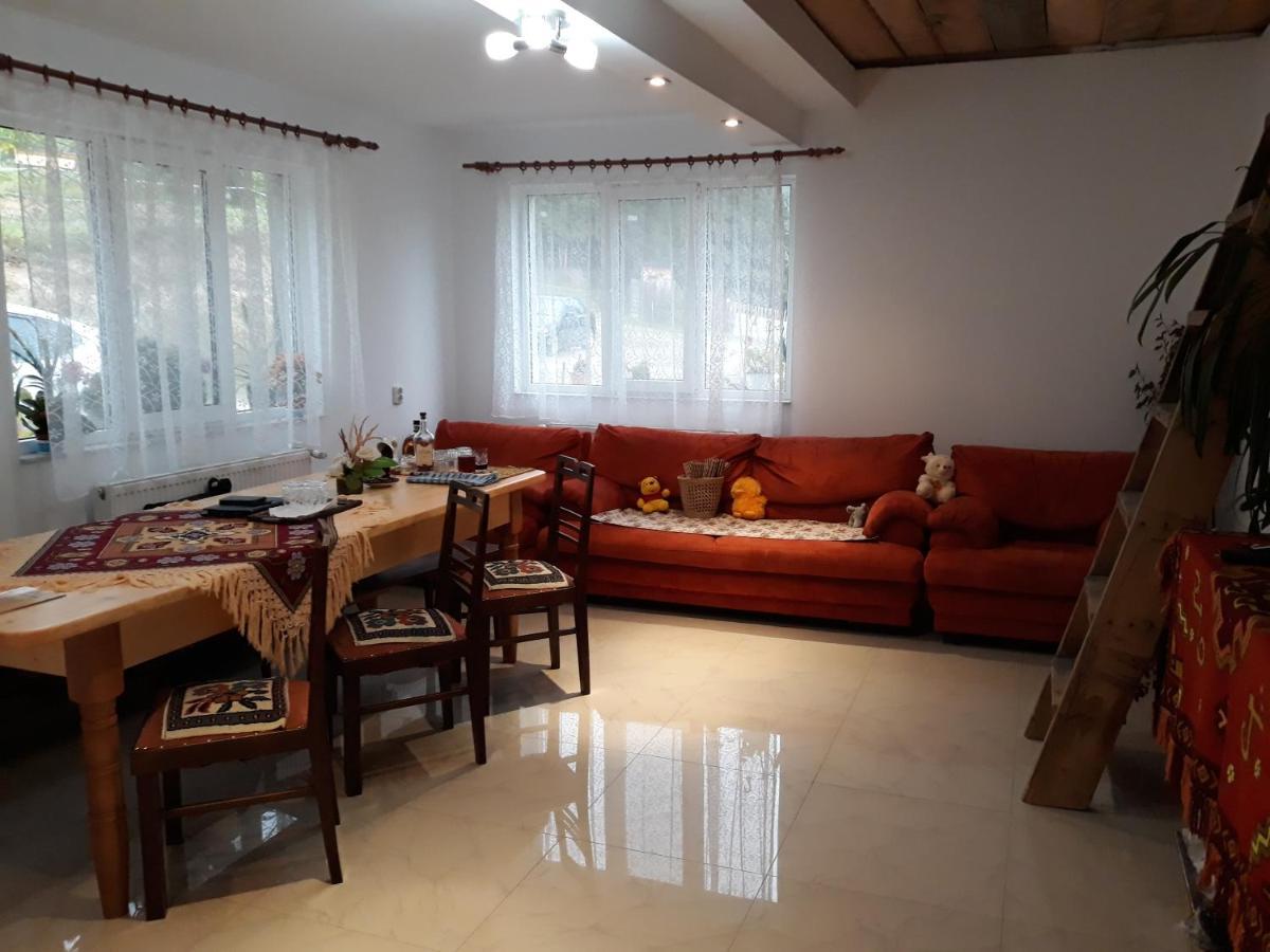 Casa Geanina Acomodação com café da manhã Colibiţa Exterior foto