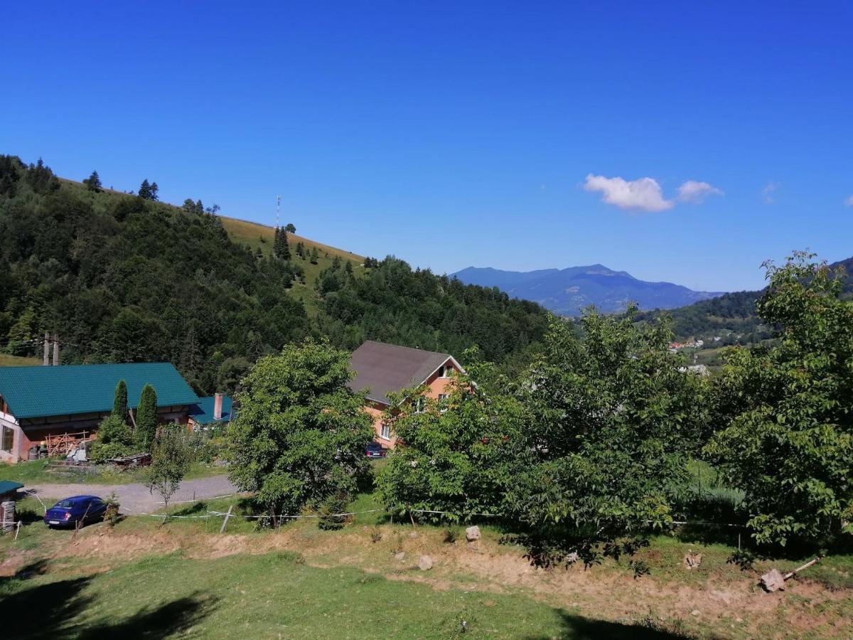Casa Geanina Acomodação com café da manhã Colibiţa Exterior foto