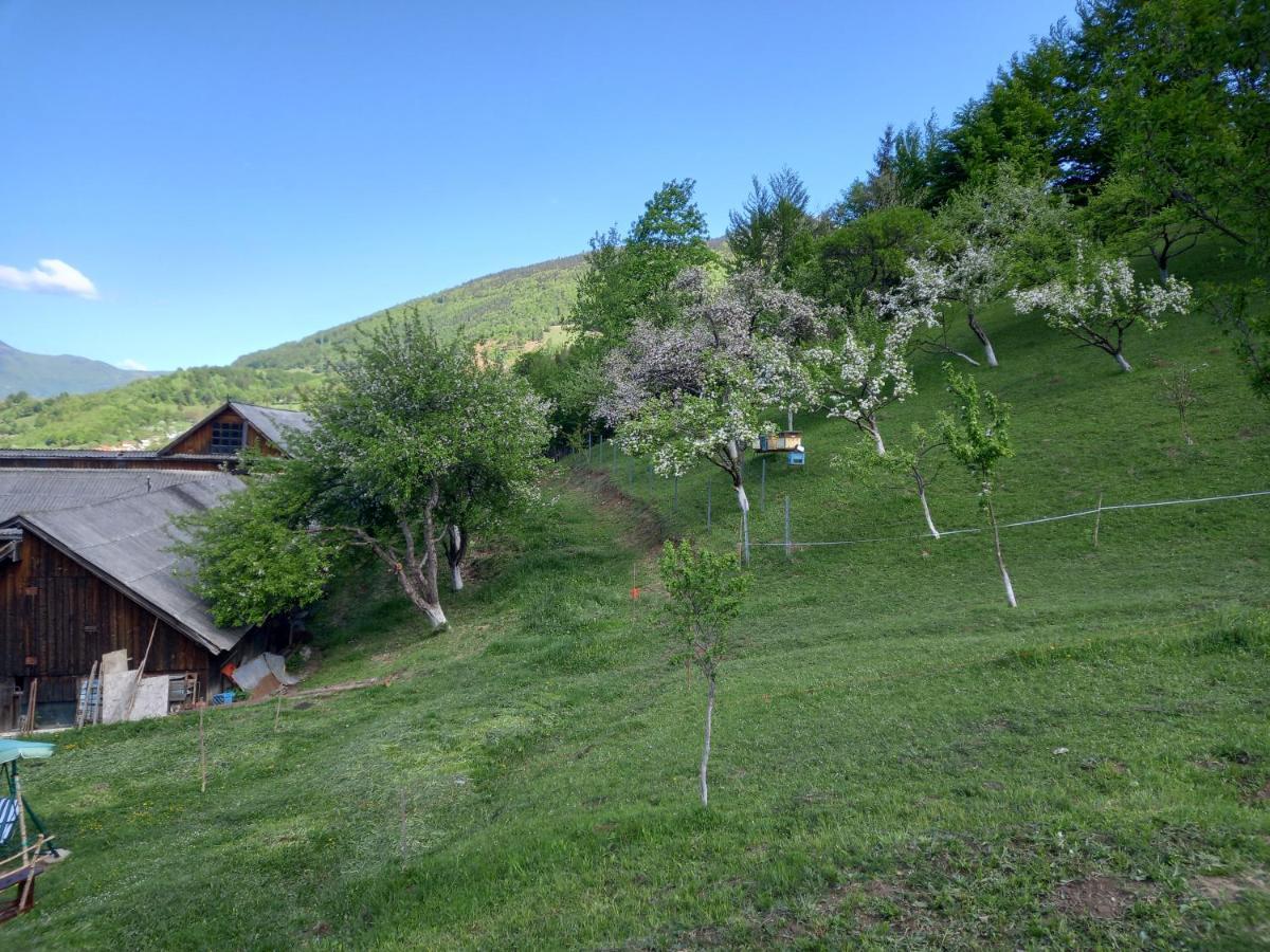 Casa Geanina Acomodação com café da manhã Colibiţa Exterior foto