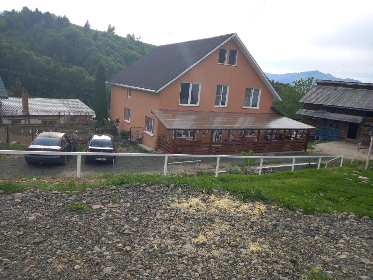 Casa Geanina Acomodação com café da manhã Colibiţa Exterior foto