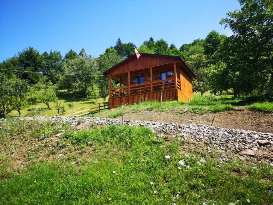 Casa Geanina Acomodação com café da manhã Colibiţa Exterior foto