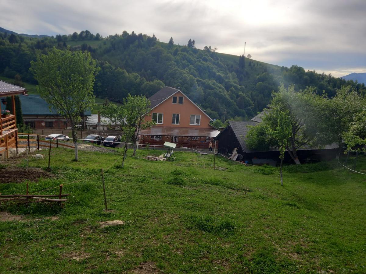 Casa Geanina Acomodação com café da manhã Colibiţa Exterior foto