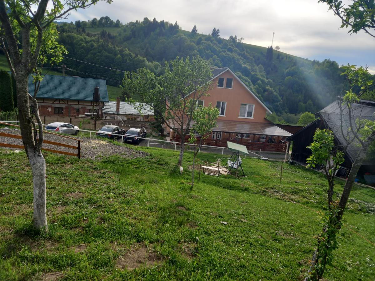 Casa Geanina Acomodação com café da manhã Colibiţa Exterior foto