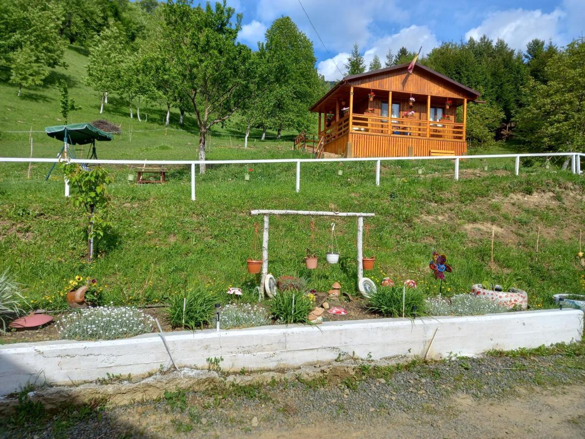 Casa Geanina Acomodação com café da manhã Colibiţa Exterior foto