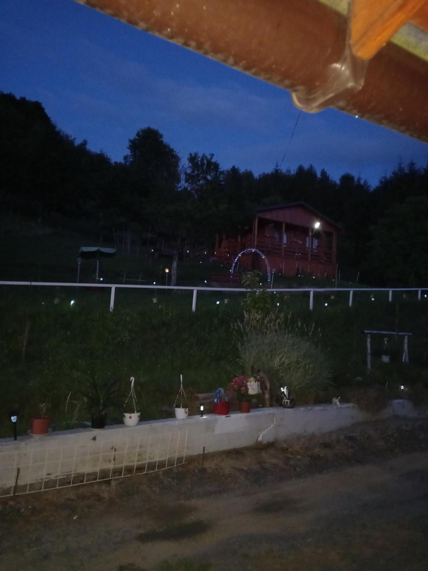 Casa Geanina Acomodação com café da manhã Colibiţa Exterior foto