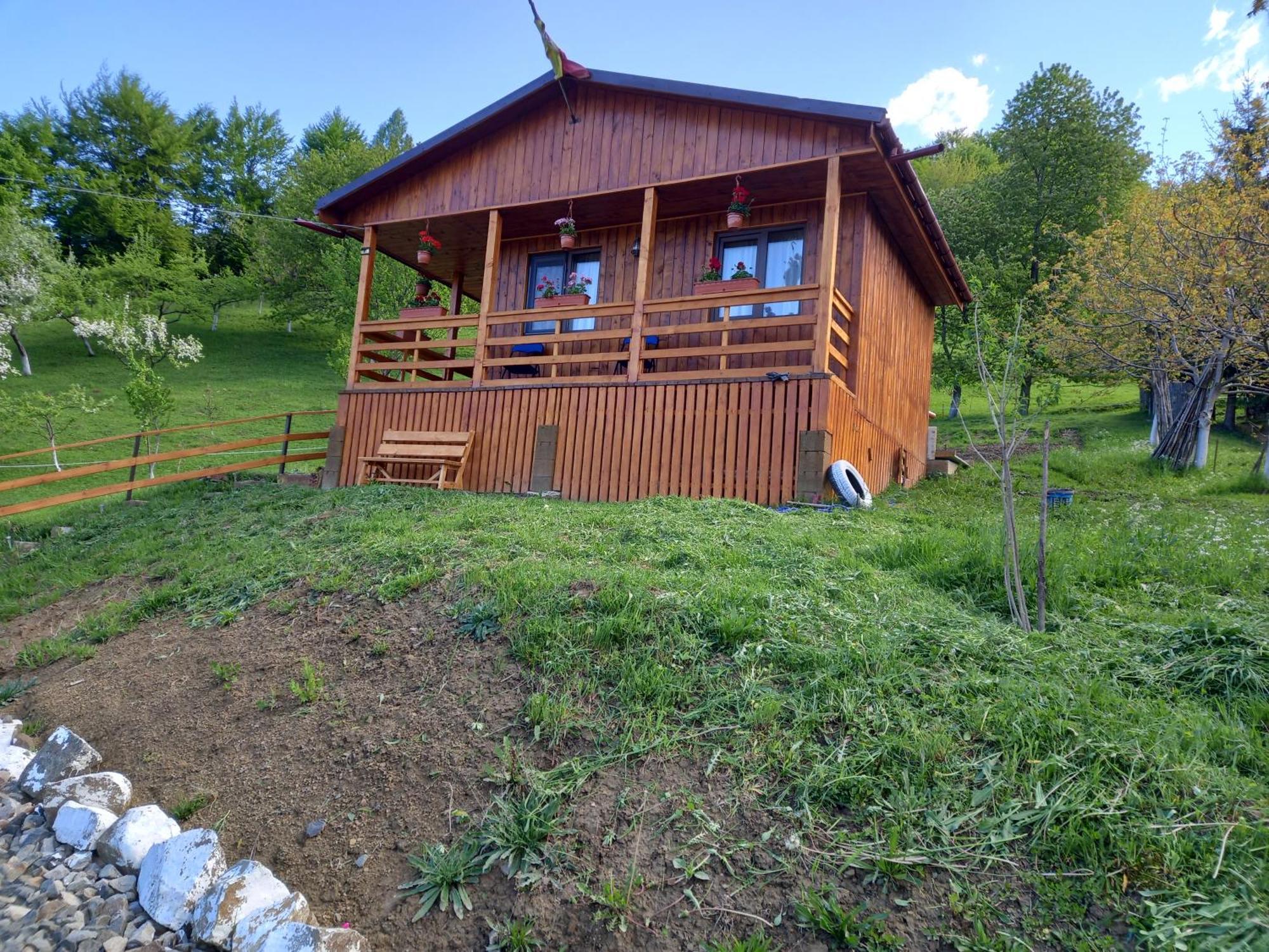 Casa Geanina Acomodação com café da manhã Colibiţa Exterior foto