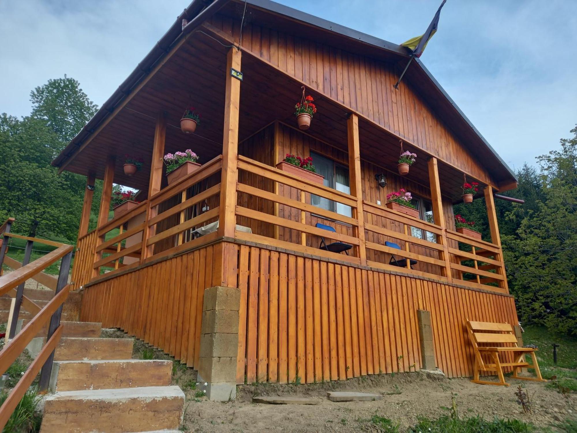 Casa Geanina Acomodação com café da manhã Colibiţa Exterior foto
