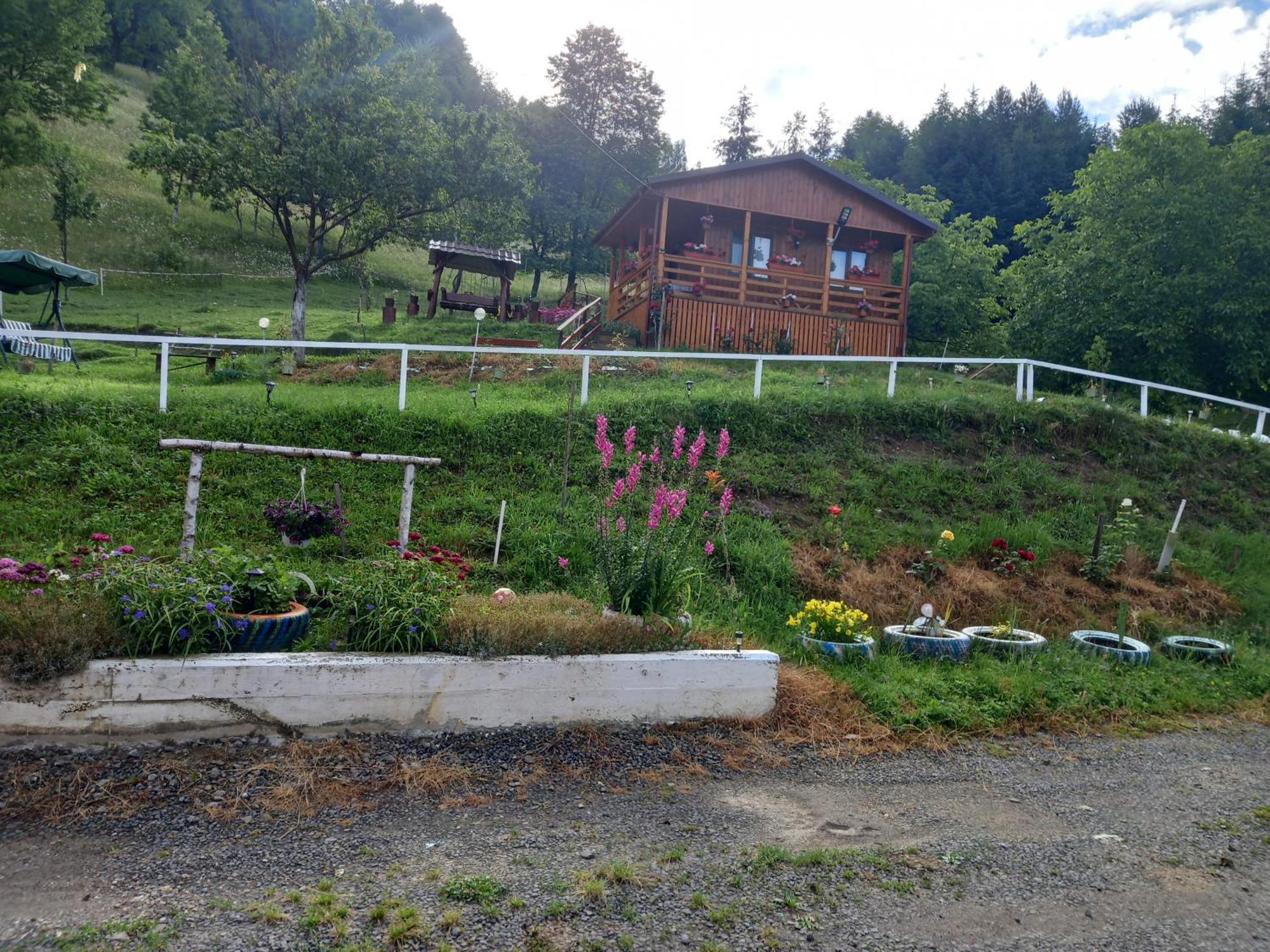 Casa Geanina Acomodação com café da manhã Colibiţa Exterior foto