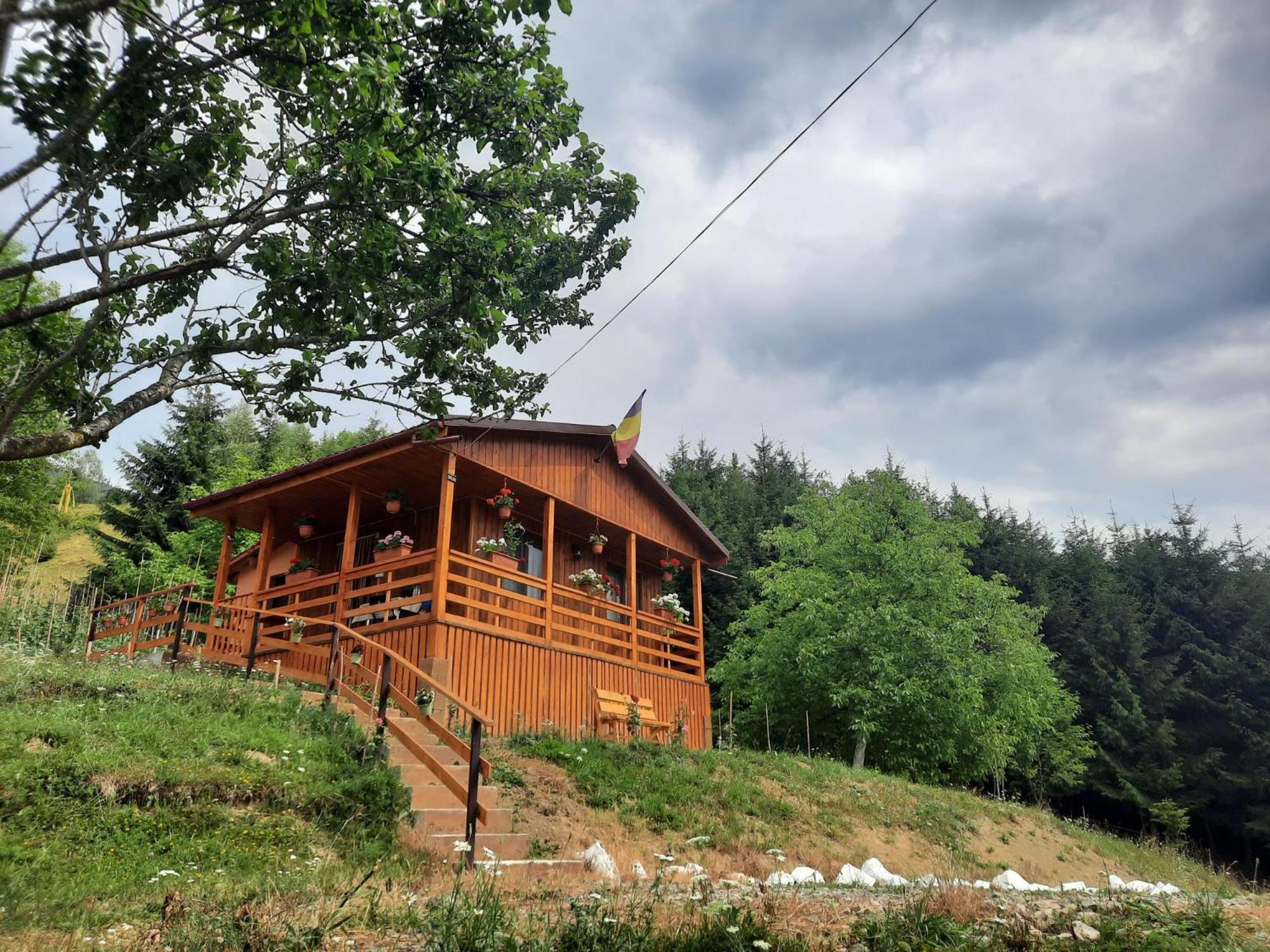 Casa Geanina Acomodação com café da manhã Colibiţa Exterior foto