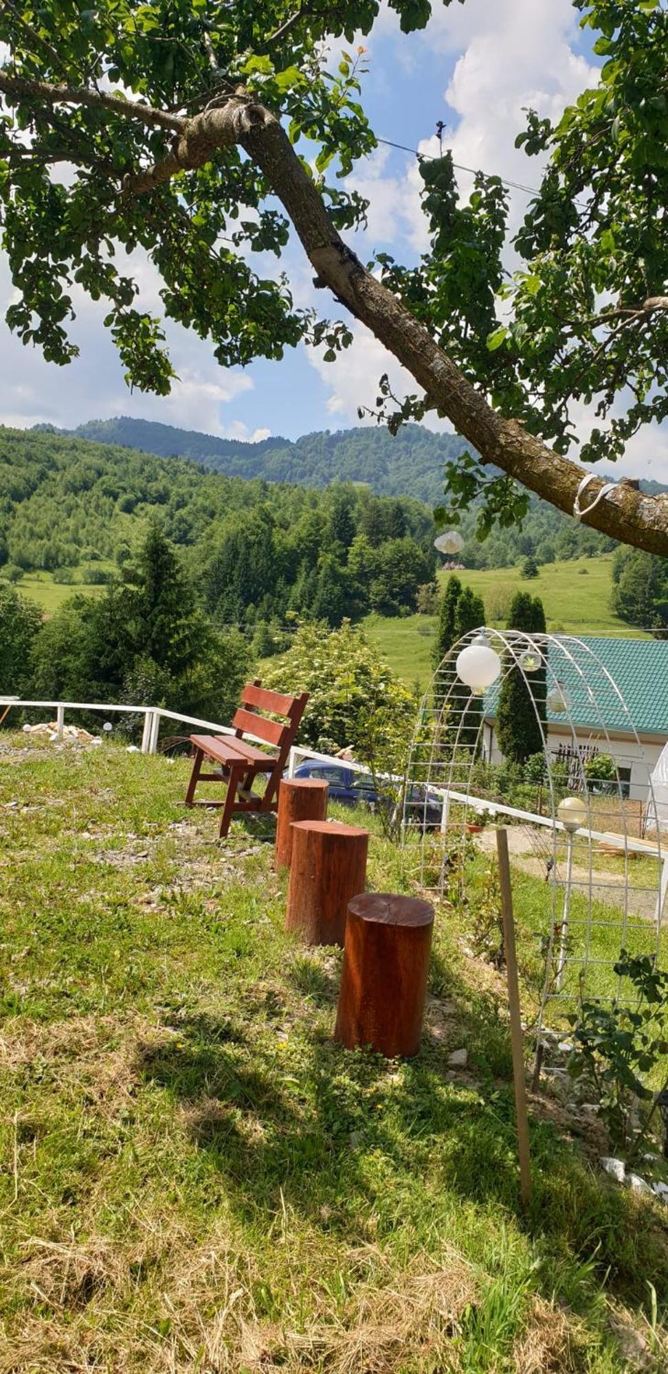 Casa Geanina Acomodação com café da manhã Colibiţa Exterior foto