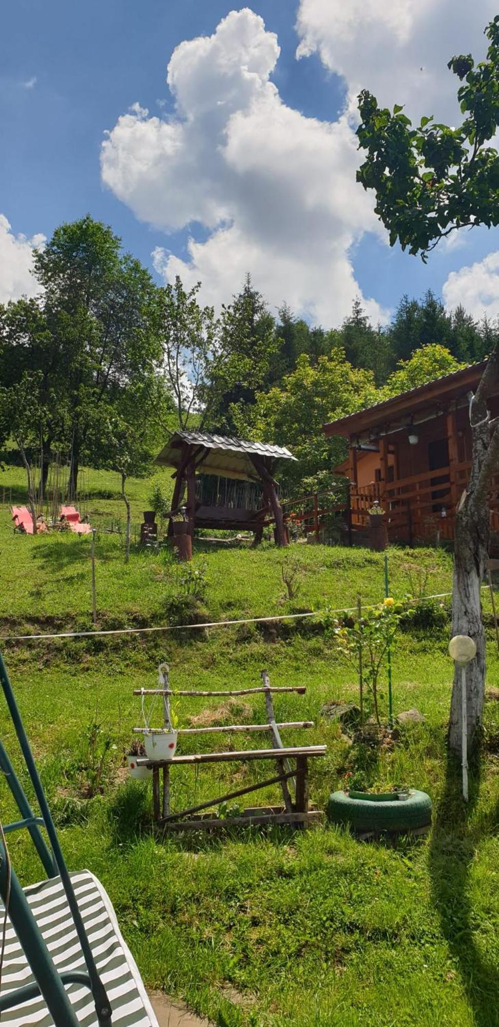 Casa Geanina Acomodação com café da manhã Colibiţa Exterior foto