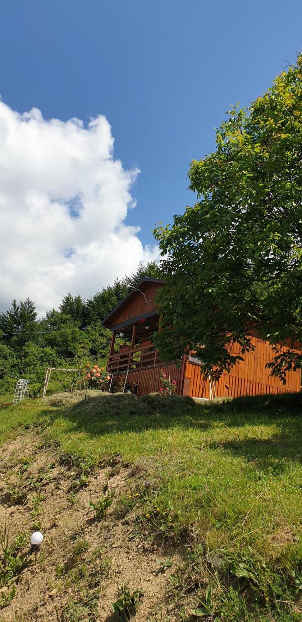 Casa Geanina Acomodação com café da manhã Colibiţa Exterior foto