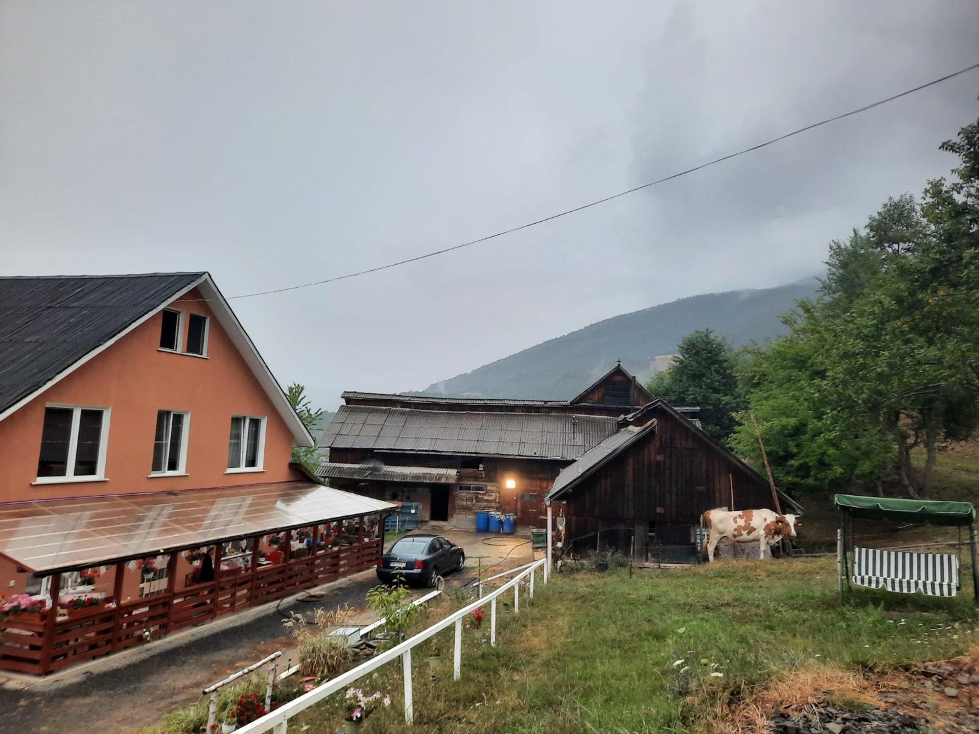 Casa Geanina Acomodação com café da manhã Colibiţa Exterior foto