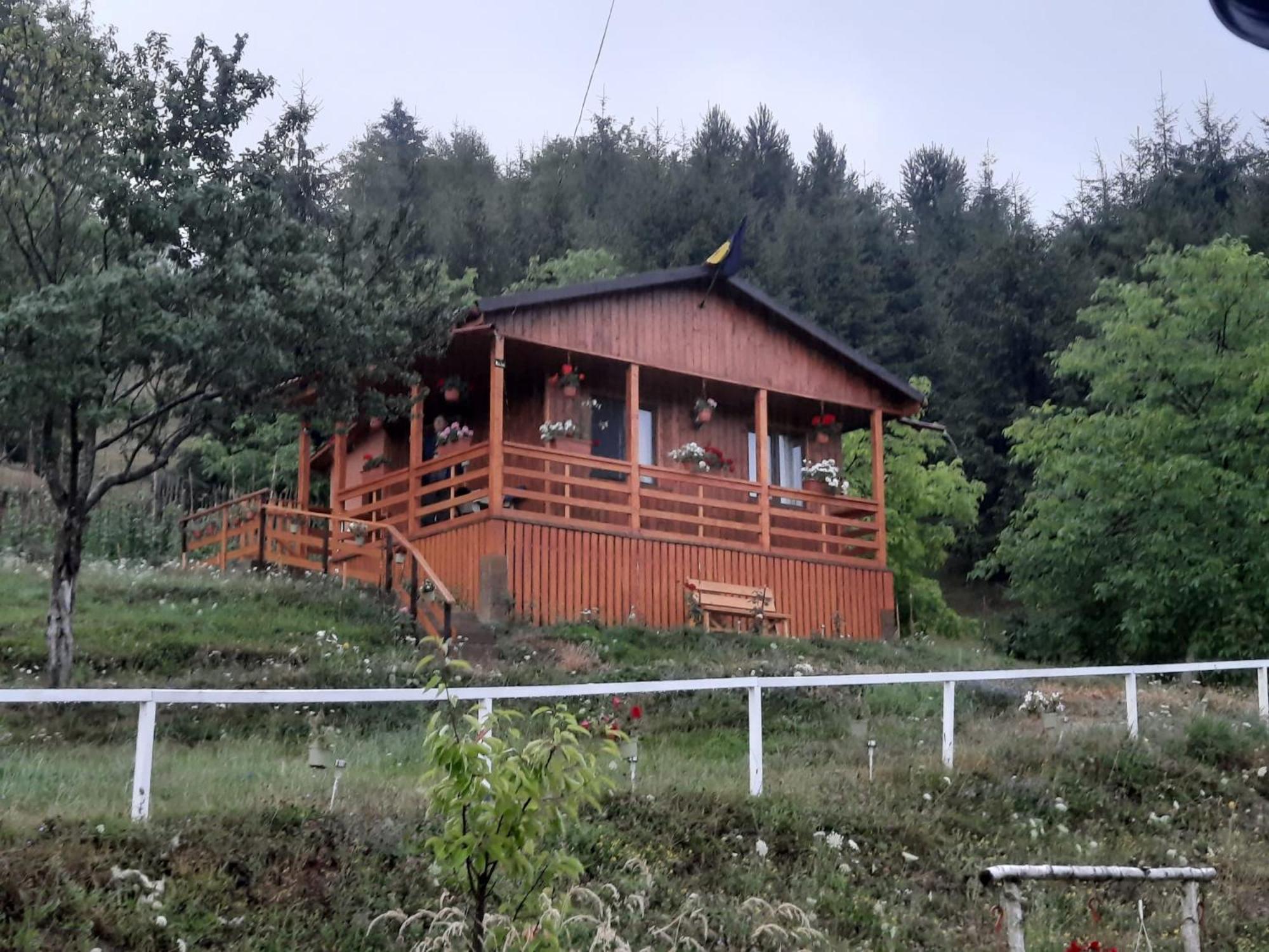 Casa Geanina Acomodação com café da manhã Colibiţa Exterior foto
