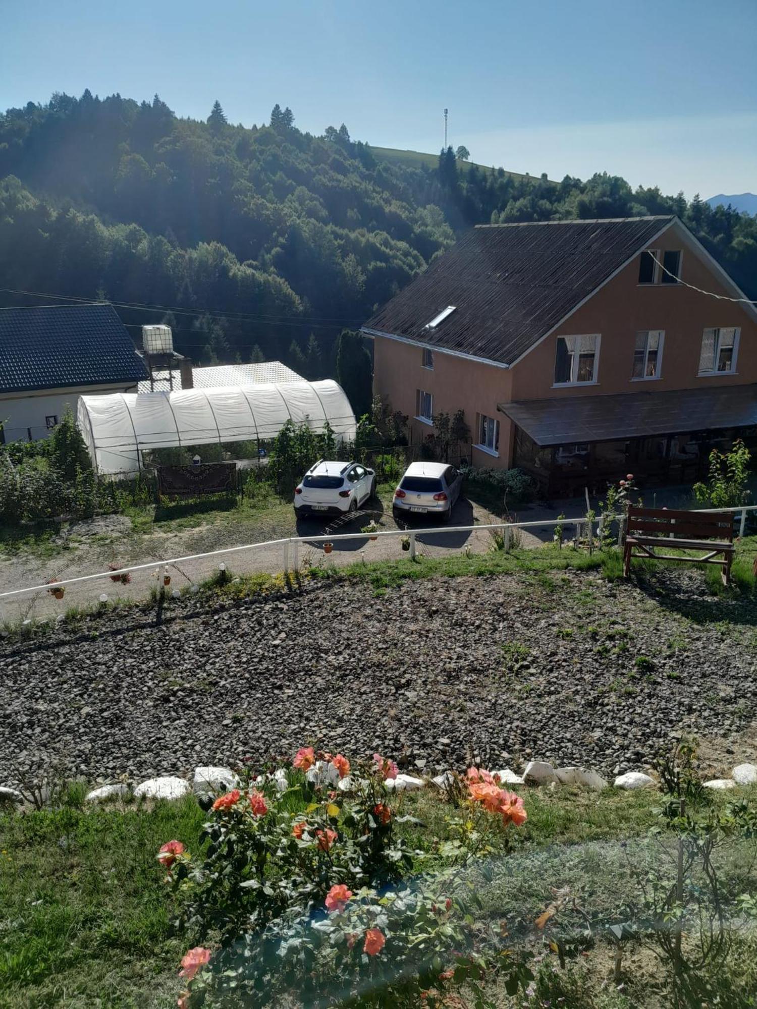 Casa Geanina Acomodação com café da manhã Colibiţa Exterior foto